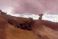 Homer, Winslow - The West Wind